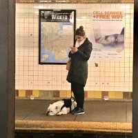 Elizabeth Ogando-Rivas (@ogandorivas) 's Twitter Profile Photo