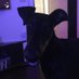 von und zu Dana inkl. Nervbacke Ares (@dobermaedchen) Twitter profile photo von und zu Dana inkl. Nervbacke Ares (@dobermaedchen) Twitter profile photo