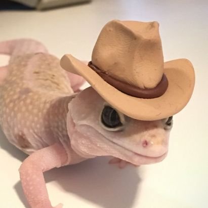 moises_leos's profile picture. 