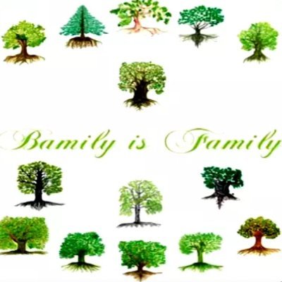 BamilyF's profile picture. Against ALL Deception
DIVIDED WE FALL