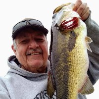 Bass Fishing Tips(@BassFishnTips) 's Twitter Profile Photo