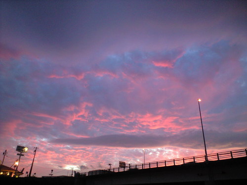 bamb00_sati's profile picture. 親の親→親→自分→わが子・・・命がつながっている、生かされている命を忘れずに生きていきたい、そう思う2011年6月。。。あれからもう12年。震災の翌朝に生まれた従兄弟の子ももう12歳。