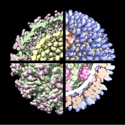 Ever-enthusiastic virologists at the University of Pittsburgh and Children's Hospital of Pittsburgh of UPMC!

Words/opinions those of individual lab members.