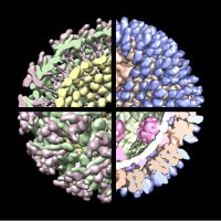 DermodyLab (@dermodylab) 's Twitter Profile