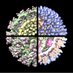 DermodyLab (@dermodylab) Twitter profile photo DermodyLab (@dermodylab) Twitter profile photo