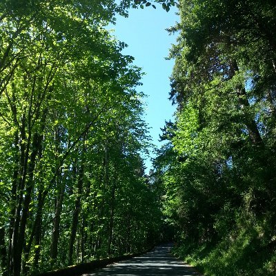 1stnoahslady's profile picture. 