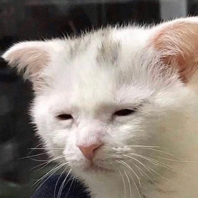 piercemarsh4's profile picture. 