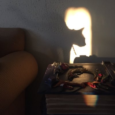 Lian_MR_'s profile picture. Literature | ¿Sleep? Eat. Read. Repeat