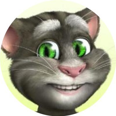 القط الحكيم