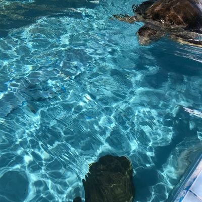 AdamNas48674285's profile picture. 