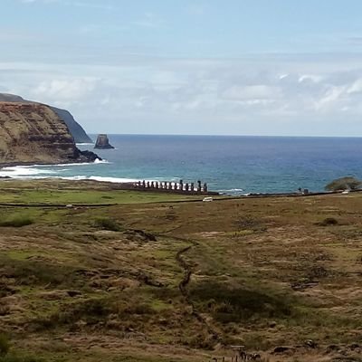 Moscarvajl's profile picture. hoy es el primer dia del resto de mi vida!!