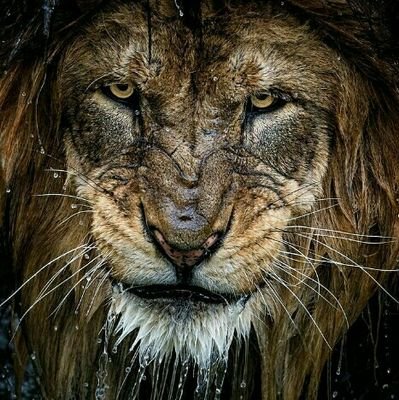 rfbstyle's profile picture. RFBSTYLE  is the FashionChannel, providing definitive coverage of high style and culture.