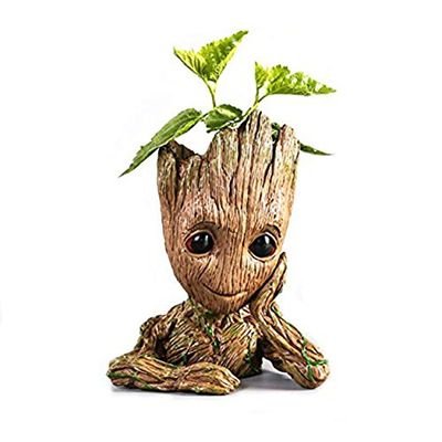 chinotur's profile picture. 