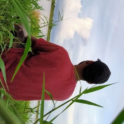 Shaik39759681's profile picture. 