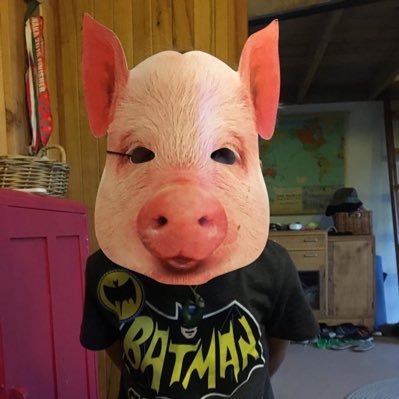 sue_wards's profile picture. 