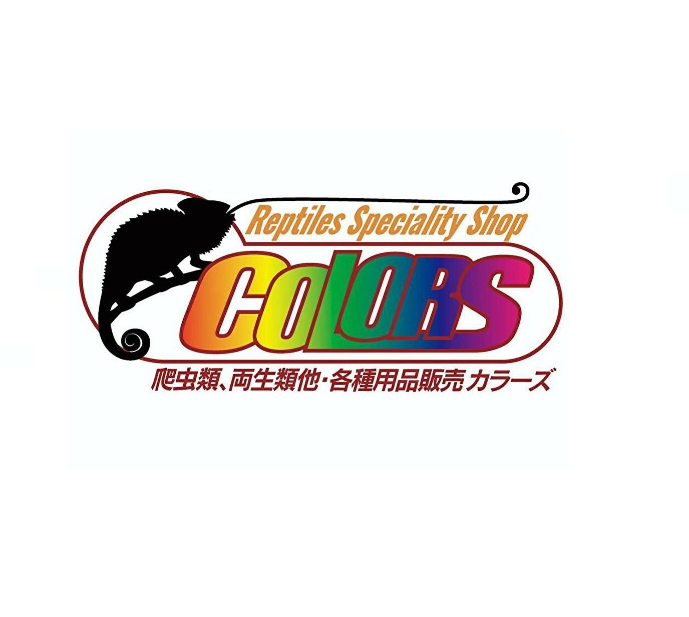 rep_colors's profile picture. 2019年11月22日にOPEN✨昆虫ショップCOLORS(https://t.co/BwomCRQXRA)から徒歩10分の距離にありますので、是非昆虫と爬虫類のハシゴをしてお楽しみください(^^♪
