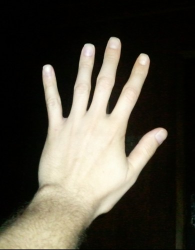 maov999's profile picture. amo absurdamente a vida com seus altos e baixos...