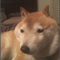 ーヌ (@mm22_mm21) 's Twitter Profile