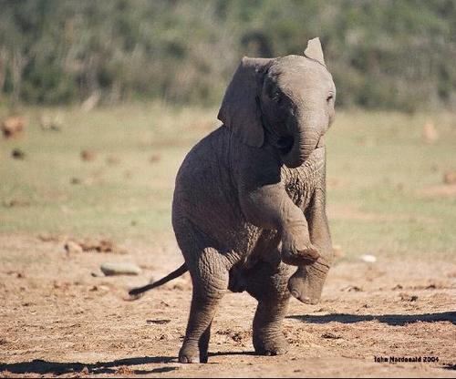 Sfarhan2011's profile picture. Bio?Whatis bio?