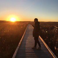 おれたま (@aha_oretama) 's Twitter Profile Photo おれたま (@aha_oretama) 's Twitter Profile Photo
