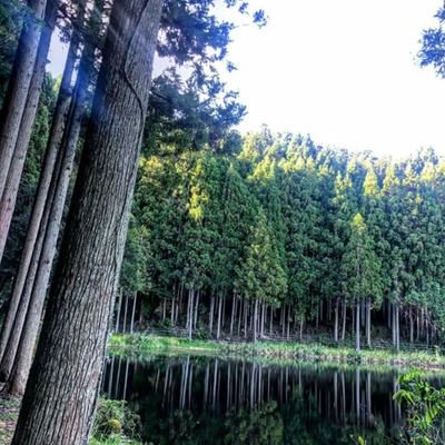 8MKlEDSp6UAgUV5's profile picture. 