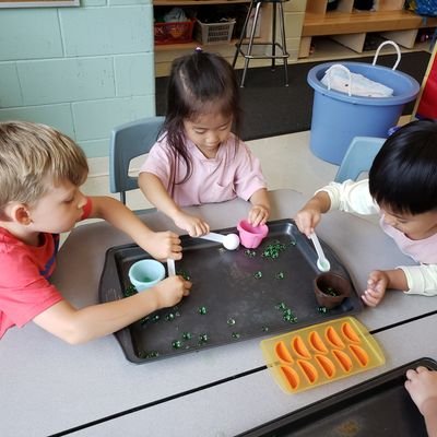 maplegrove27's profile picture. Learning Through Play the FDK way with Mrs. Turner and Ms. Youssef.