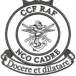 Providing Leadership and Method of Instruction Training to CCF(RAF) cadets.