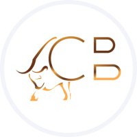 CapitalBull Mortgage (@nobankbull) 's Twitter Profile Photo CapitalBull Mortgage (@nobankbull) 's Twitter Profile Photo