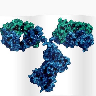 Alt6Jonathan's profile picture. Ambivalente y con memoria selectiva