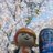 koba34's profile image