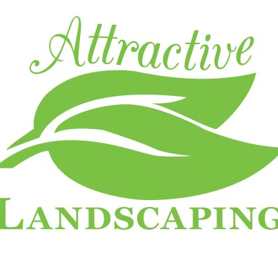 Landscape installation;Lawn care Service (Commercial & Residential); Snow Removal; (612) 729-1635