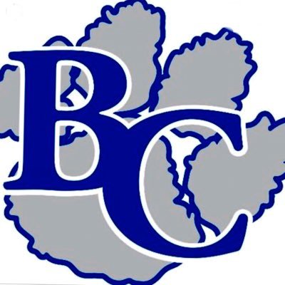 BCVolleyball3 Profile Picture