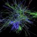 KorcsmarosLab (@korcsmaroslab) Twitter profile photo KorcsmarosLab (@korcsmaroslab) Twitter profile photo