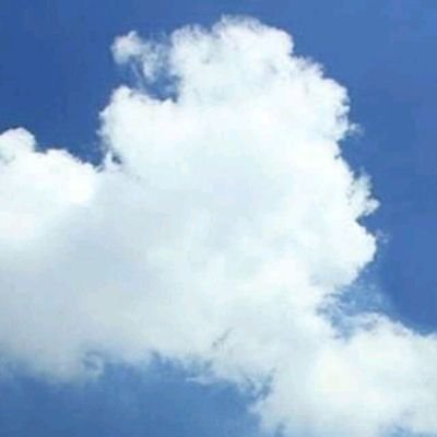 Ekomokong3's profile picture. Opo jare