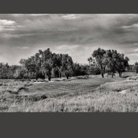 Chase Shelton (@cdshlton13) 's Twitter Profile