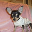 Bella Bean Andrus - @JustBellaBean - Twitter