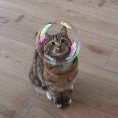 QCwdthtiOERdl3i's profile picture. 怎么才能变成小狗