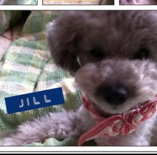 api1130's profile picture. 