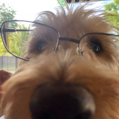 carmslot's profile picture. 