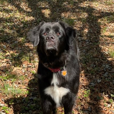 MolassesSorghum's profile picture. 