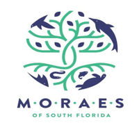 MORAES(@sofloMORAES) 's Twitter Profile Photo