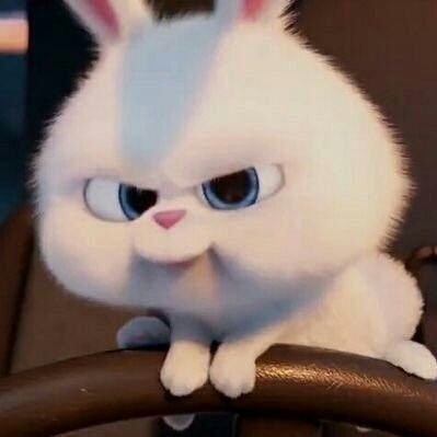 จะมาขิงแมวน้อยเงียบๆ