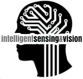 Intelligent Sensing and Vision
