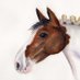 Barrister's Horse Profile picture