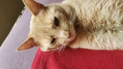 Ingenie76349797's profile picture. 