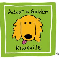 Adopt a Golden Knox (@adoptagolden10) 's Twitter Profile