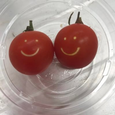 minnemi1's profile picture. TVXQlover  トンに始まりトンで終了  シム溺愛❤️🦌ユノ尊敬❤️🐯