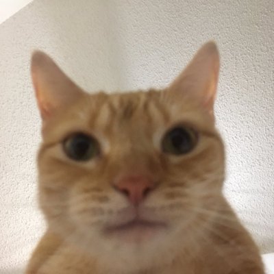 CringyTikTok's profile picture. 