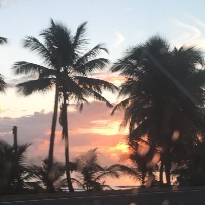 DoDEA_PR's profile picture. Puerto Rico Community Superintendent