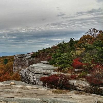 MillburnRomero's profile picture. 